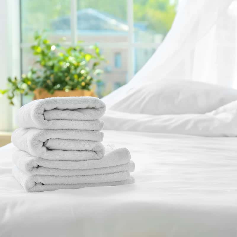 Professional Laundry Service